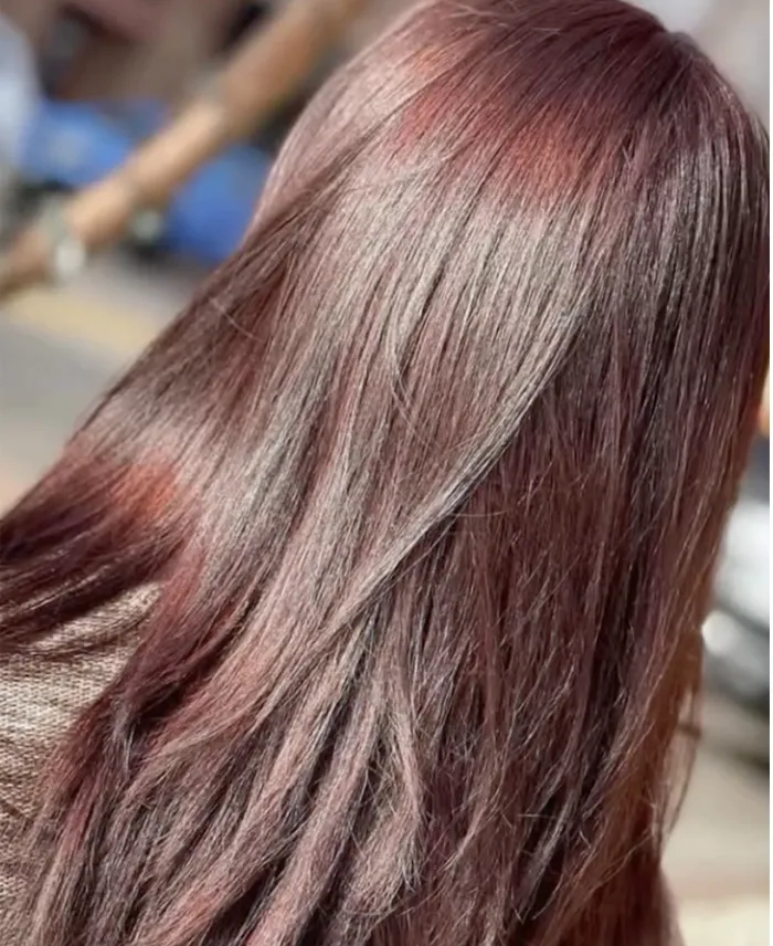 Close-up of a person’s head showing long, straight, shiny brown hair with reddish highlights in natural light. Copperfalls Aveda Spa & Salon, Castle Rock, CO